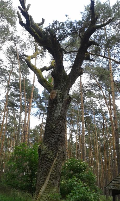 Apartman U Kostela Veseli nad Moravou Luaran gambar